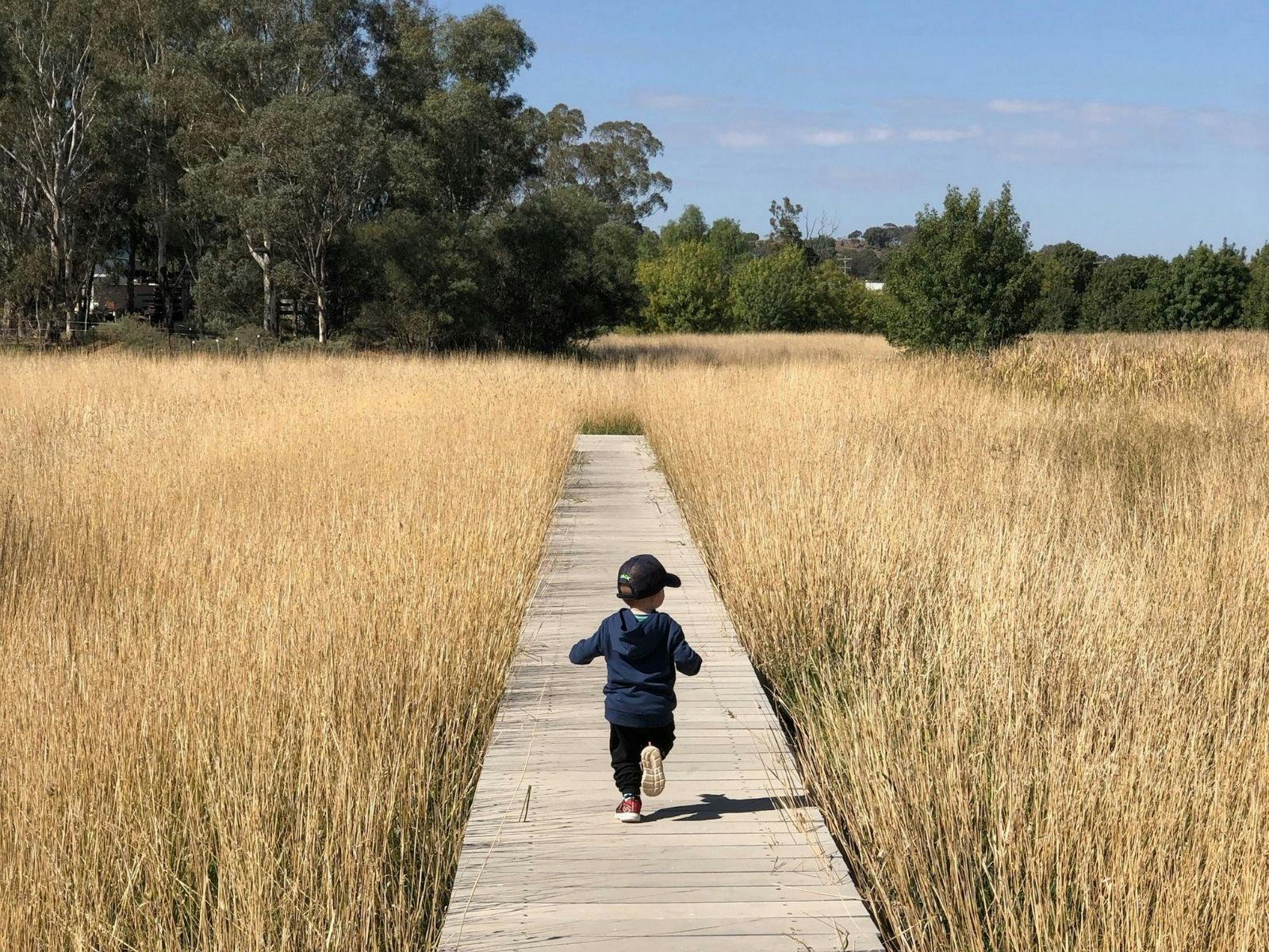 Junee Urban Wetlands