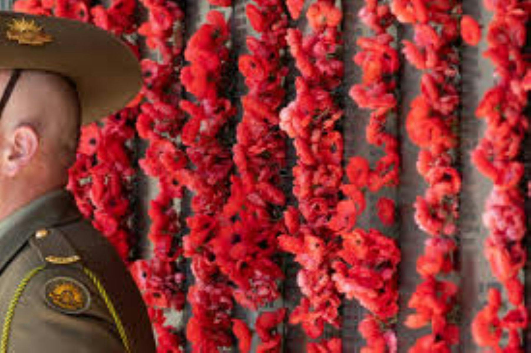 Image of Soldier and Poppies