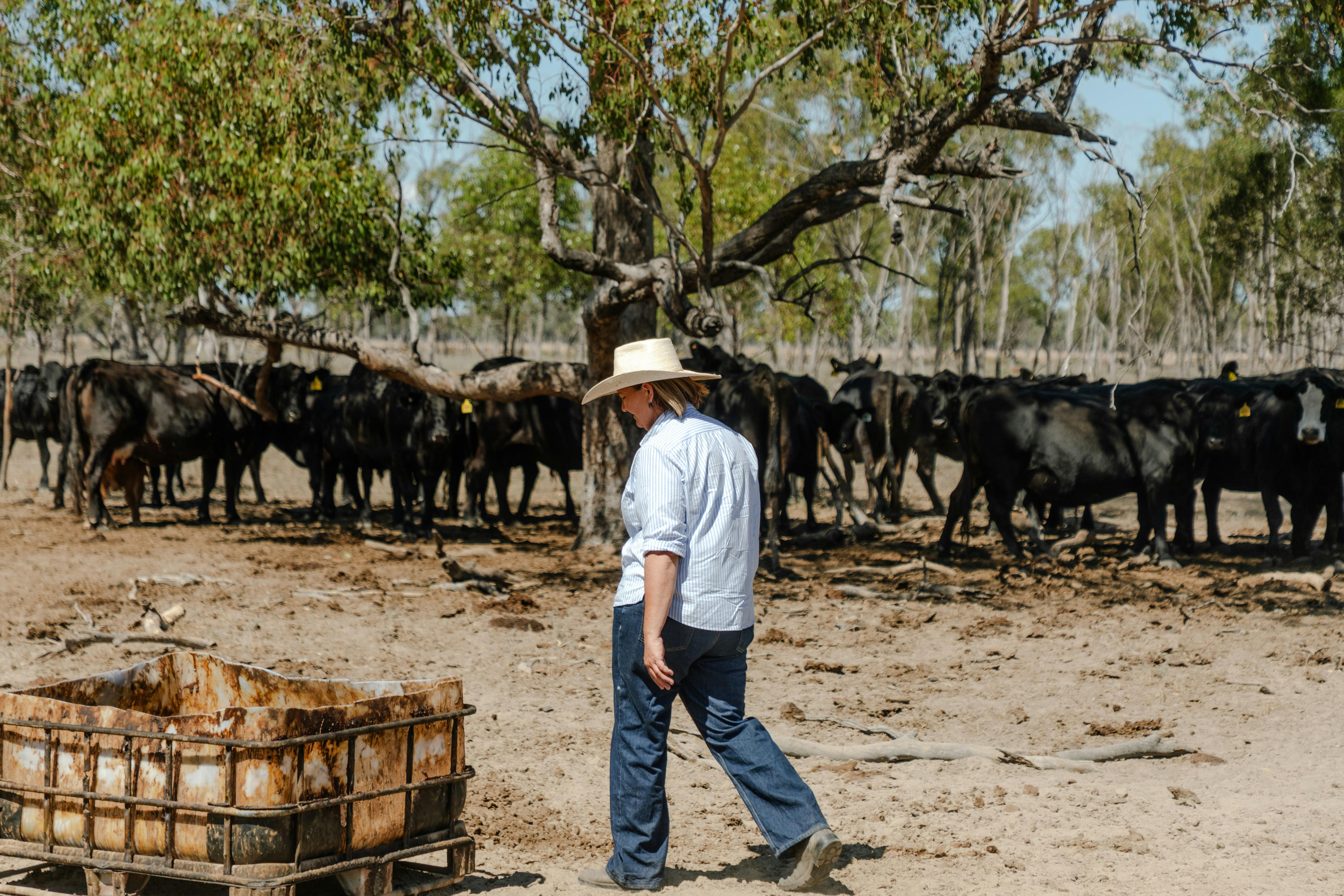 host jacinda checking the cattle