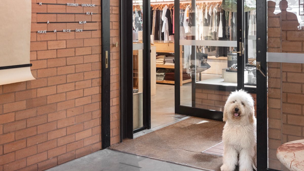 We are a dog-friendly boutique at Cornerstone Stores Tugun.