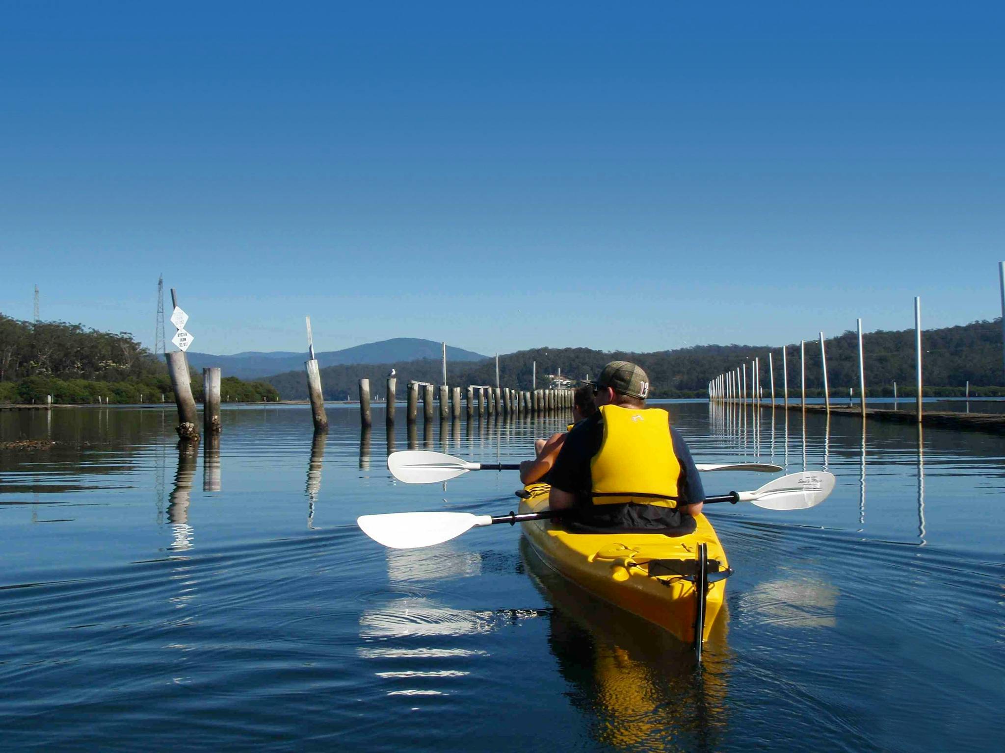 Oyster Farm Kayak Tour, Eurobodalla NSW