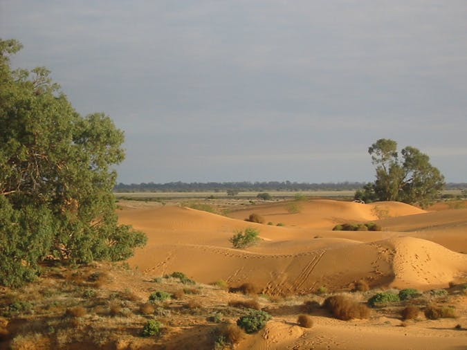 Mungo National Park Five Day Tour