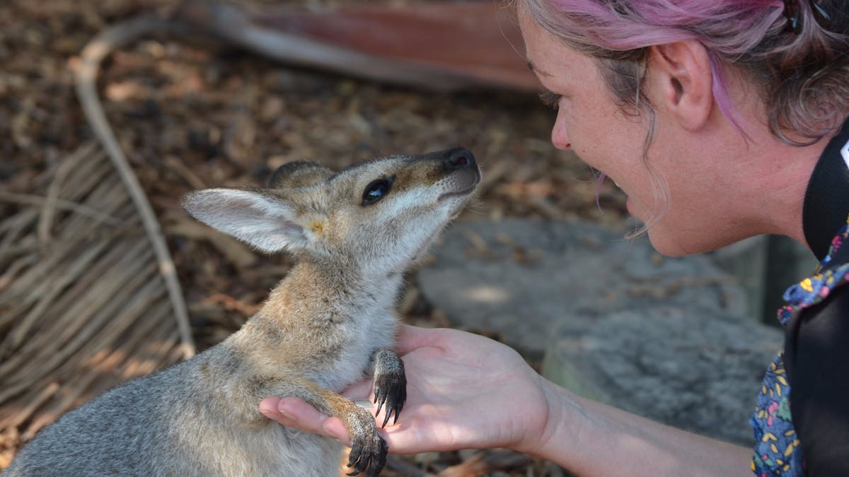 Maryborough Wildlife Sanctuary, Fraser Coast. Maryborough Wildlife Sanctuary, Fraser Coast.