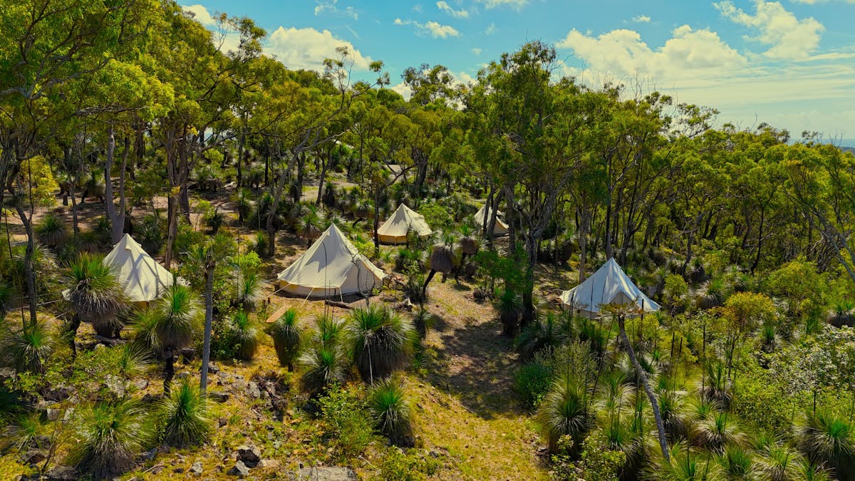 Grass Trees glamping tents Grass Trees glamping tents
