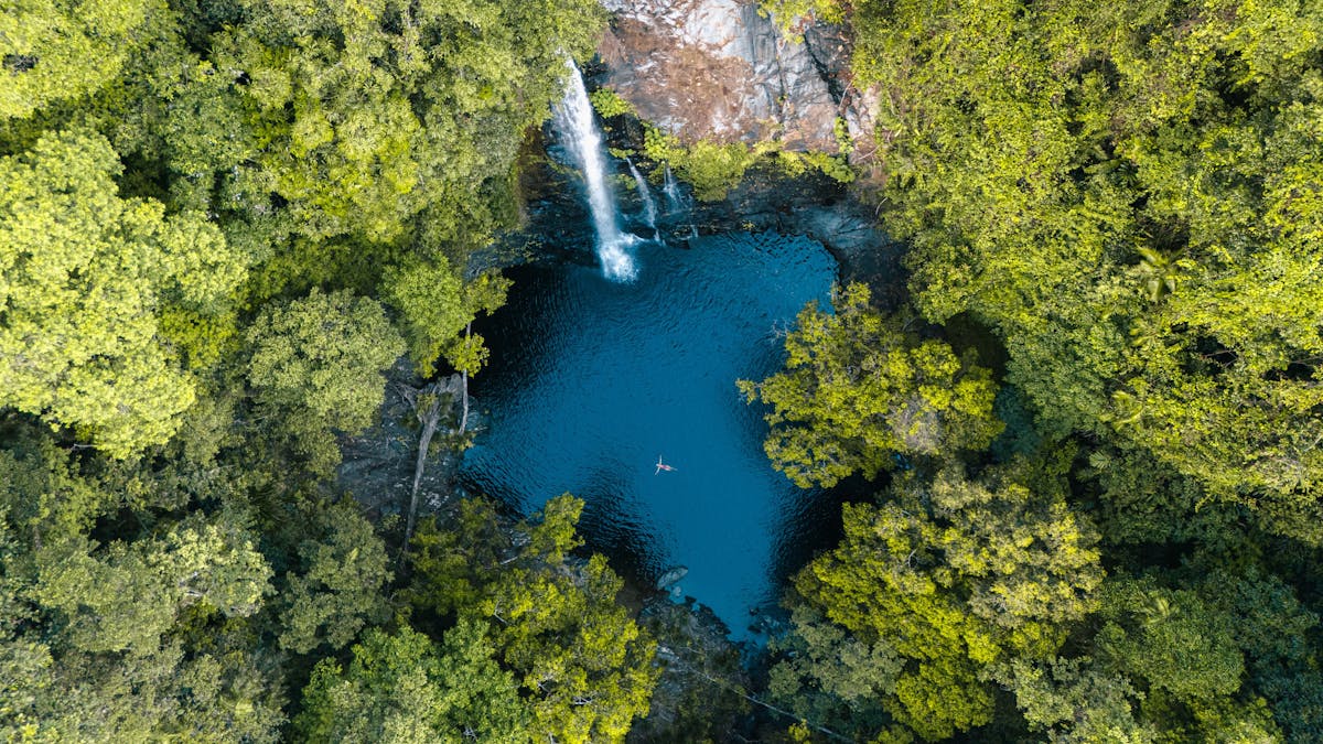 Cassowary Falls