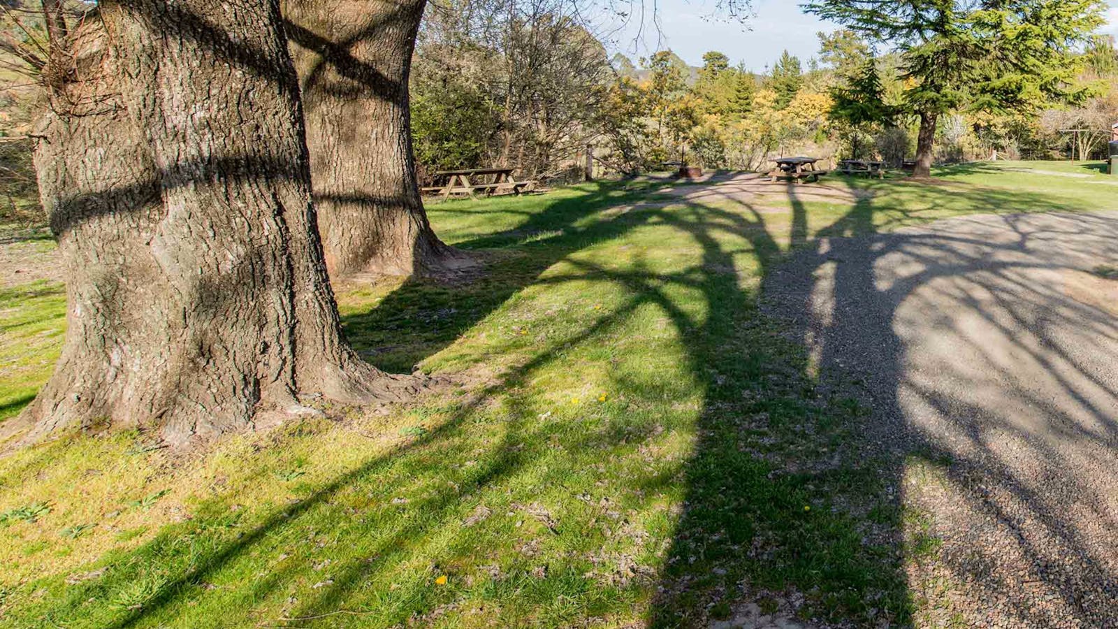 Village Walking Track