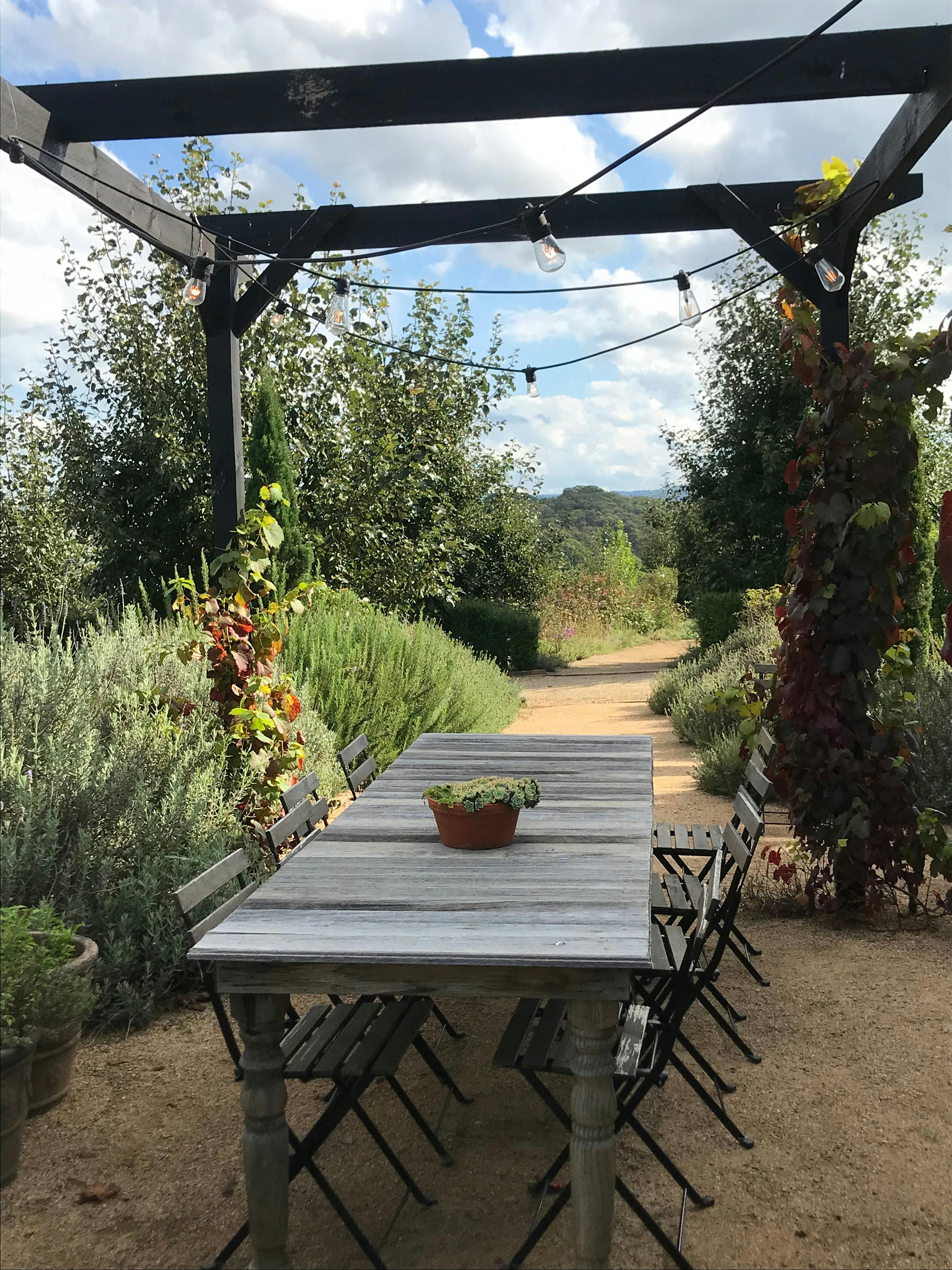 bring a picnic lunch and enjoy our lavender terrace with view to the blue mountains