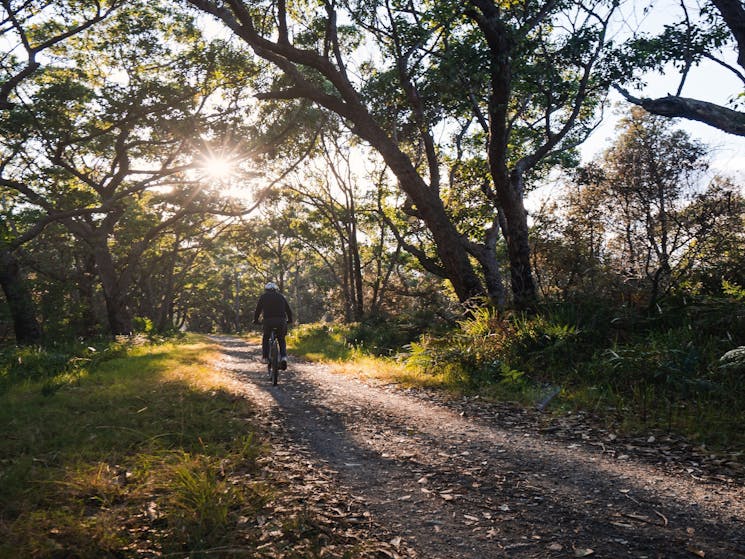 Mossy Point cycleway