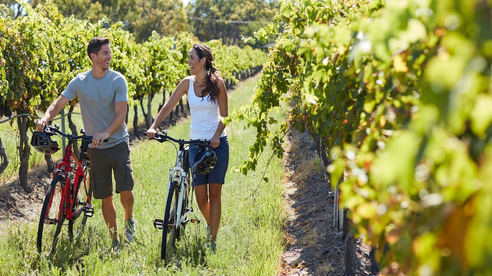 Granite Belt Bicycle Tours