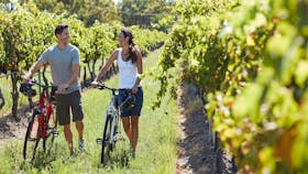 Man and woman strolling through a vineyard pushing bicycles.