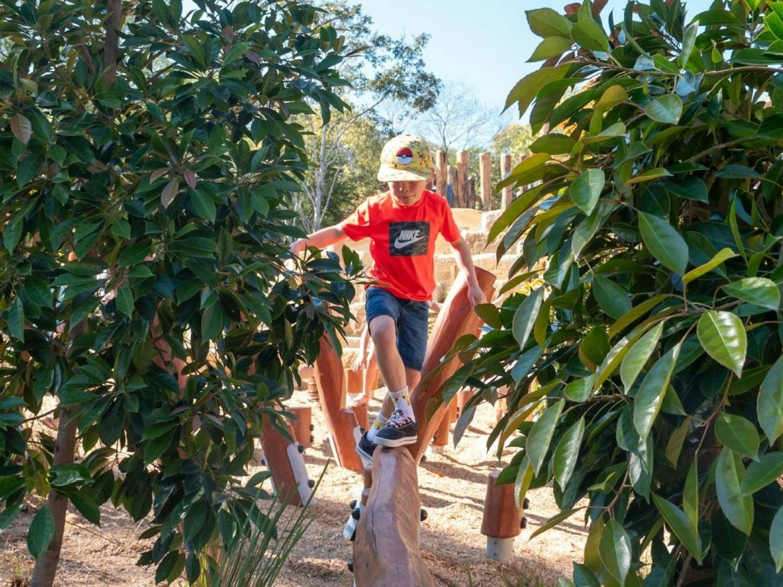 Child on play equipment at Caboolture Regional Environment Education Centre Child on play equipment at Caboolture Regional Environment Education Centre