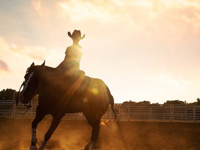 Image for Australian Outback Spectacular's Mastery Of The Horse
