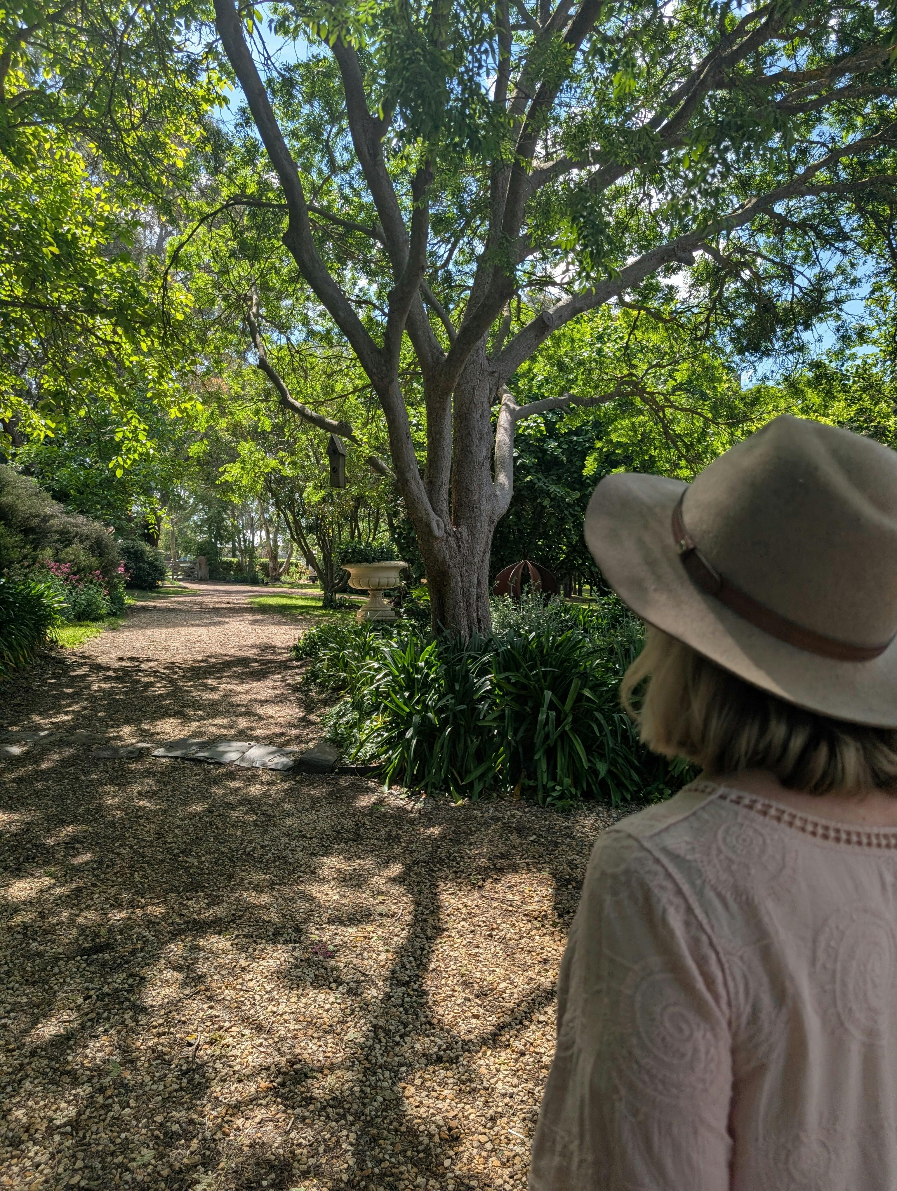 米尔索普花园漫步