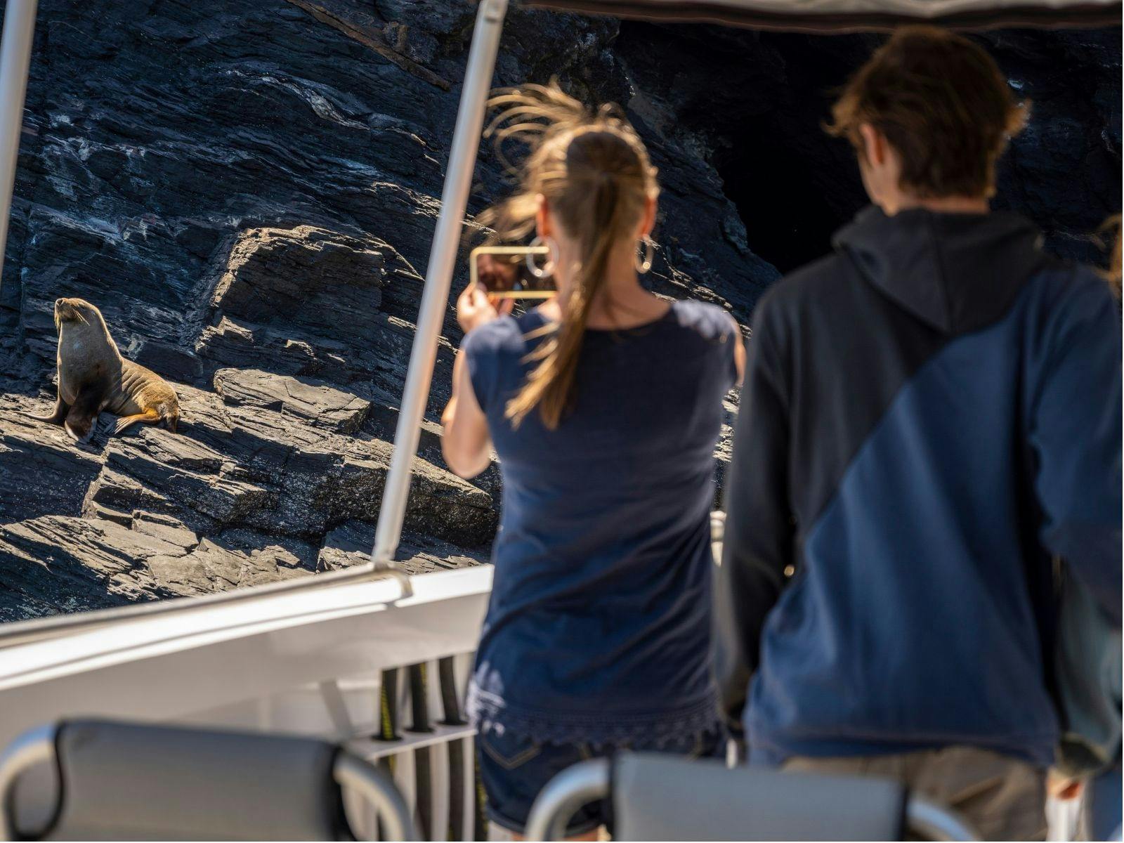 Two people on a boat, taking a photo of a Australian sea Lion