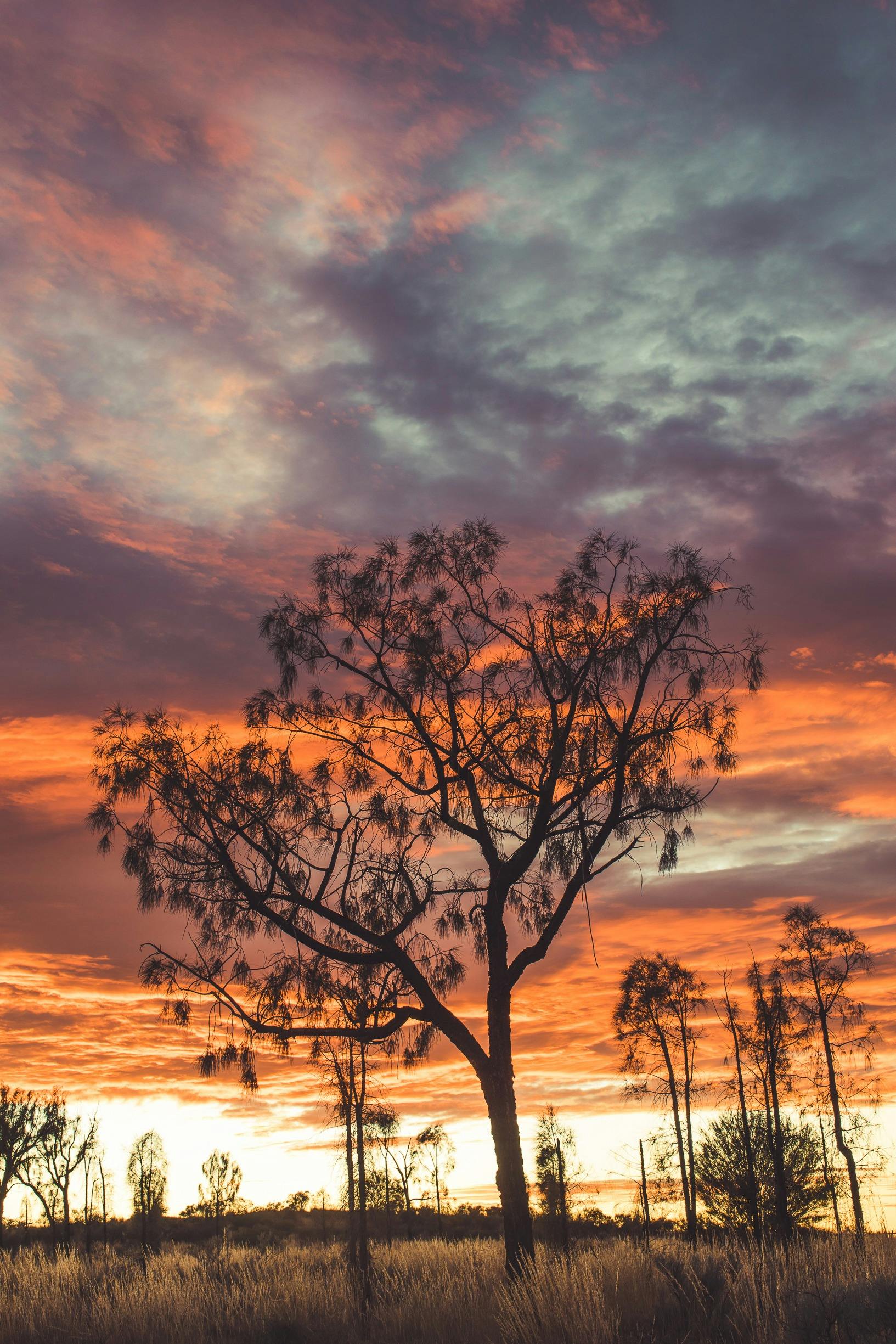 Uluru Sunrise