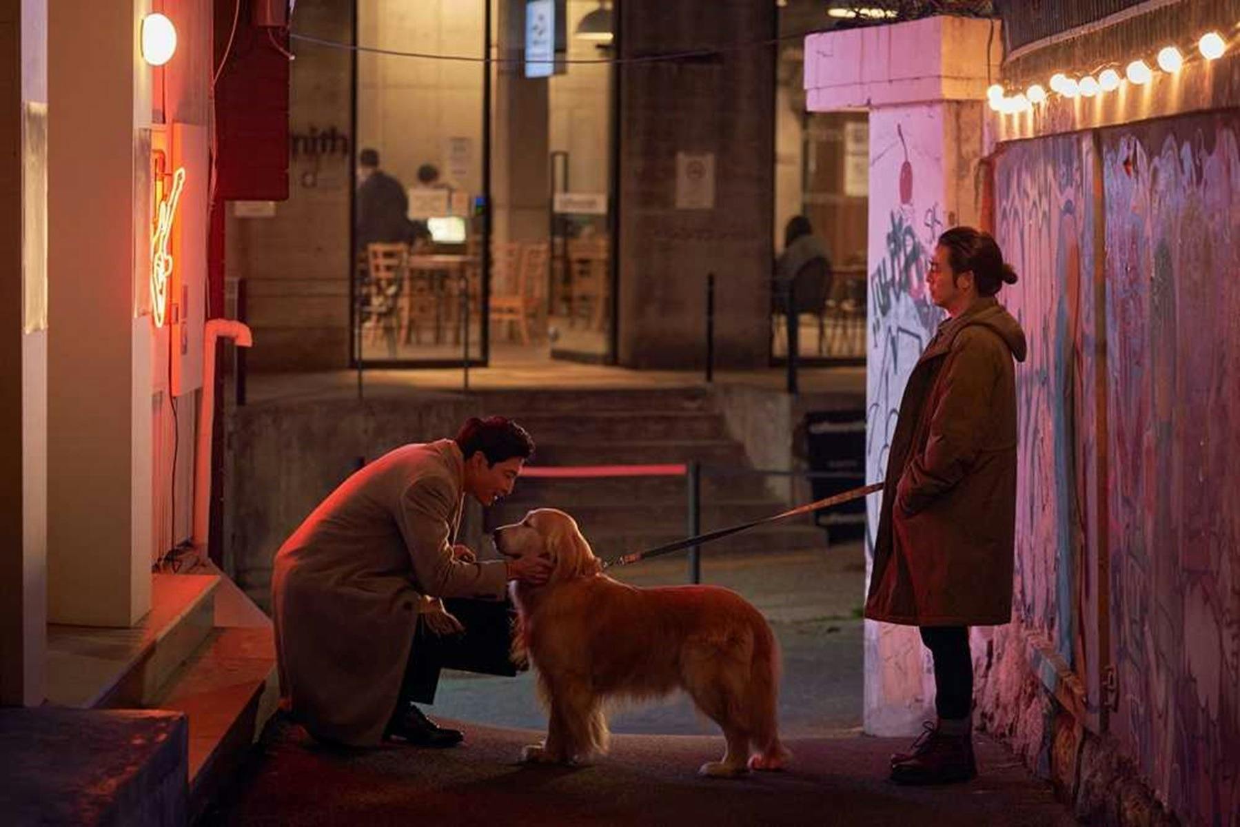 Korean Film Festival in Benalla - Dog Days