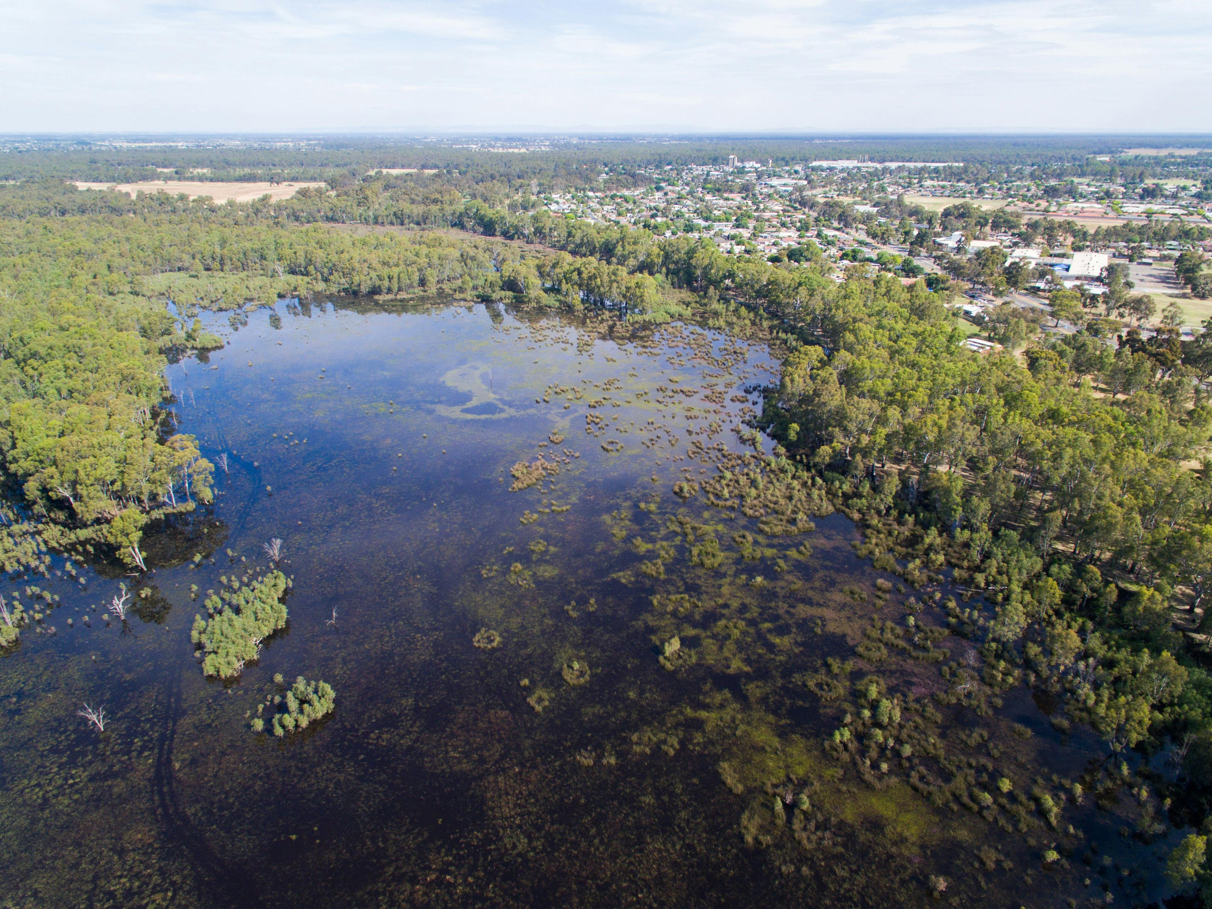 Drone of Gemmill Swamp Mooroopna