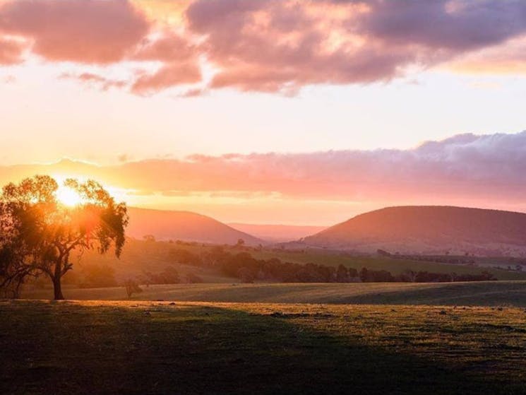 Murringo Gap Hilltops Region NSW