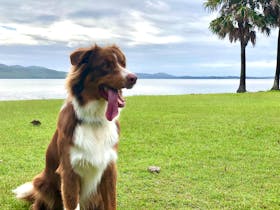 Tiona offers pet-friendly accommodation, with pets allowed at the lake