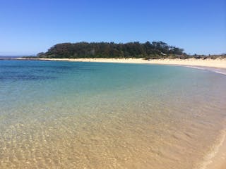 Snorkelling Broulee Island