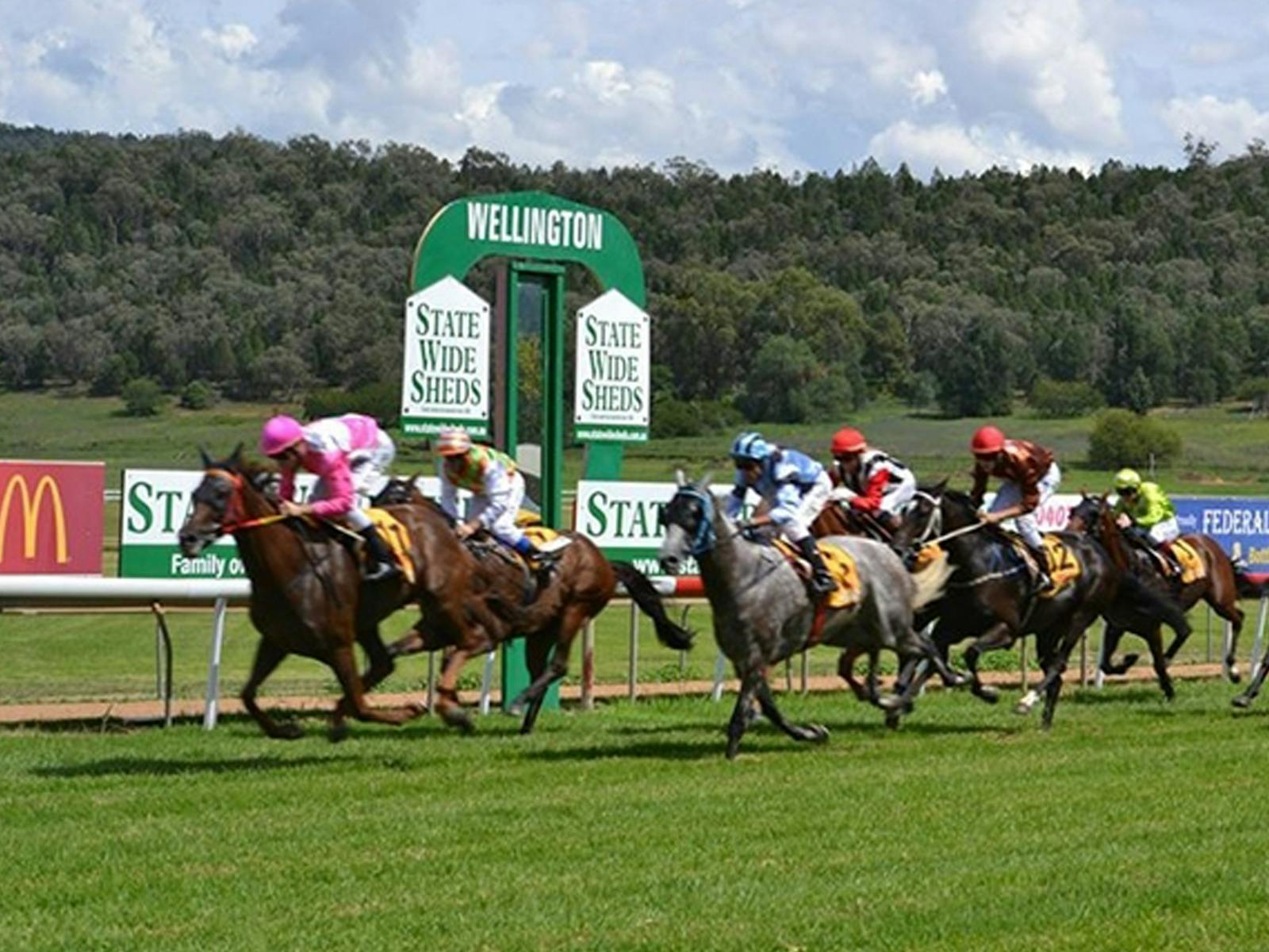 Image for Wellington Boot Racing Carnival