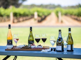 Wine and platter with a view over the vineyard