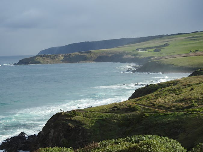 Hills to Sea Full Day Private Tour including Victor Harbor