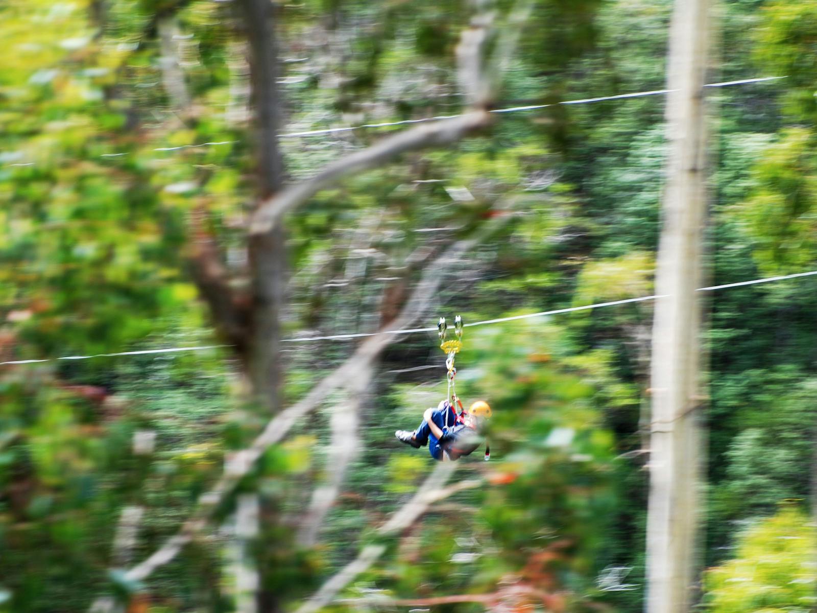 Enjoy the beauty on a zipline