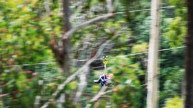 Enjoy the beauty on a zipline