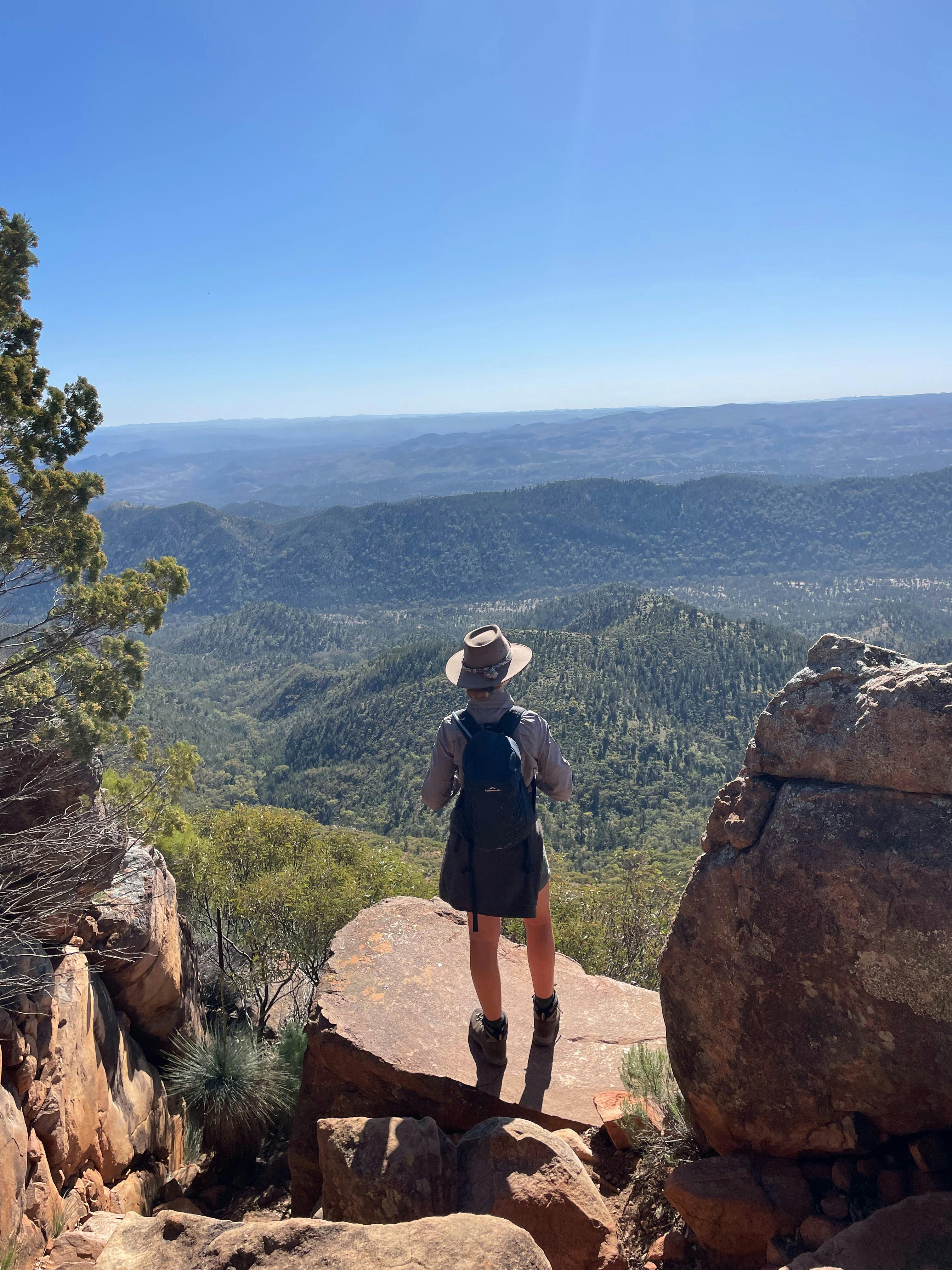 On the way to Tanderra Saddle
