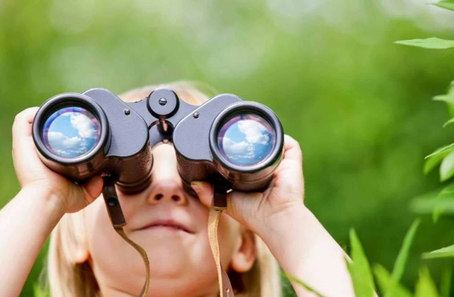 Bird Watching Walks