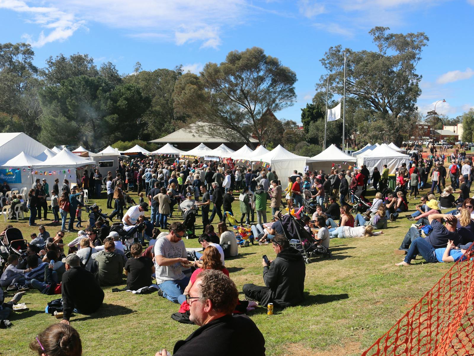 Image for Toodyay International Food Festival and Family Fun Day
