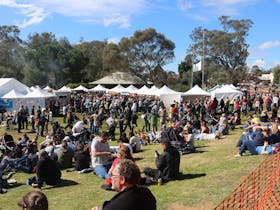 Toodyay International Food Festival and Family Fun Day