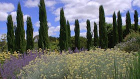 Lambley Nursery and Gardens
