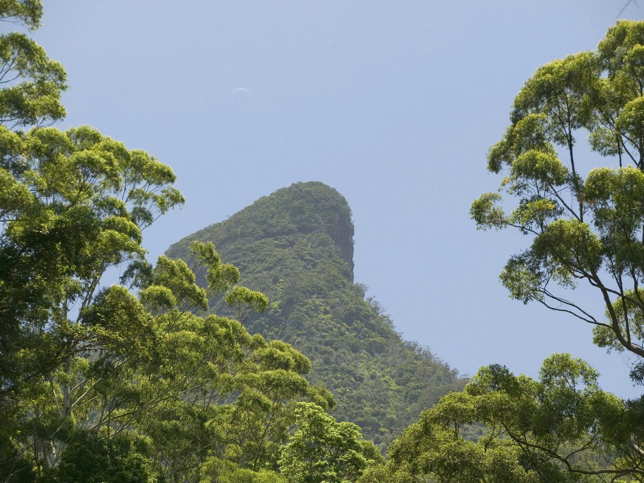 Mount Warning