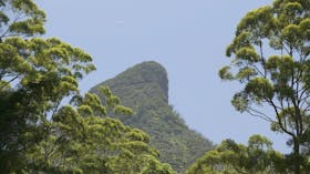Mount Warning
