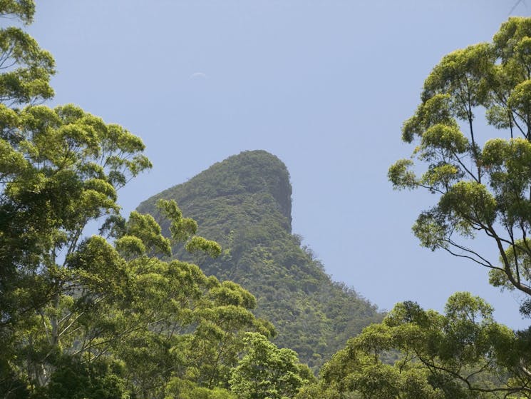 Mount Warning