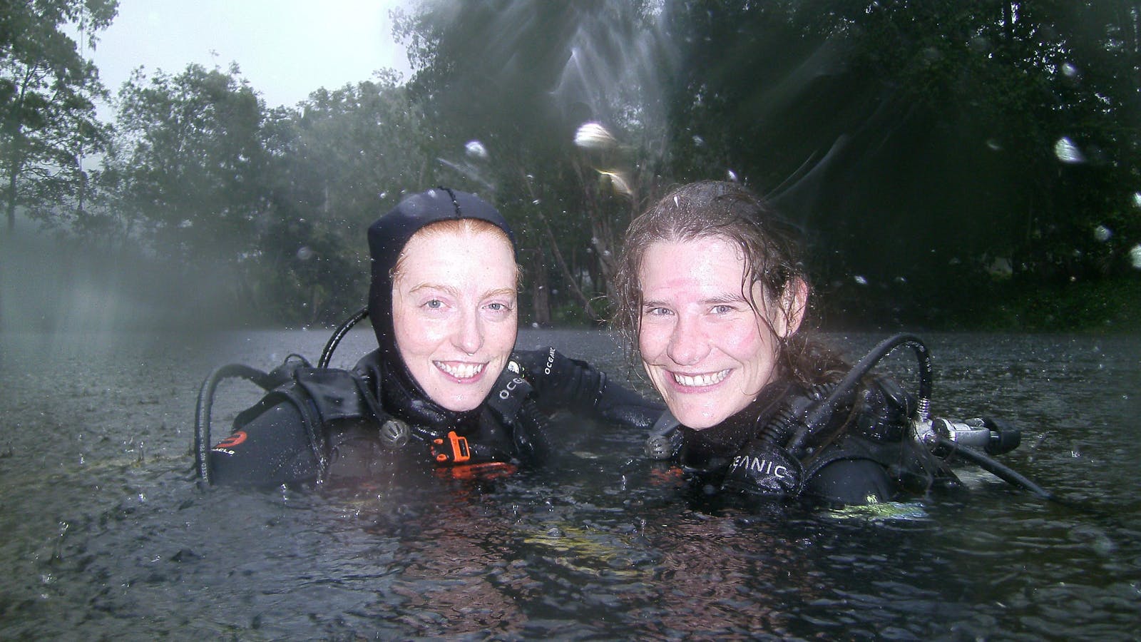 Rain in the rainforest