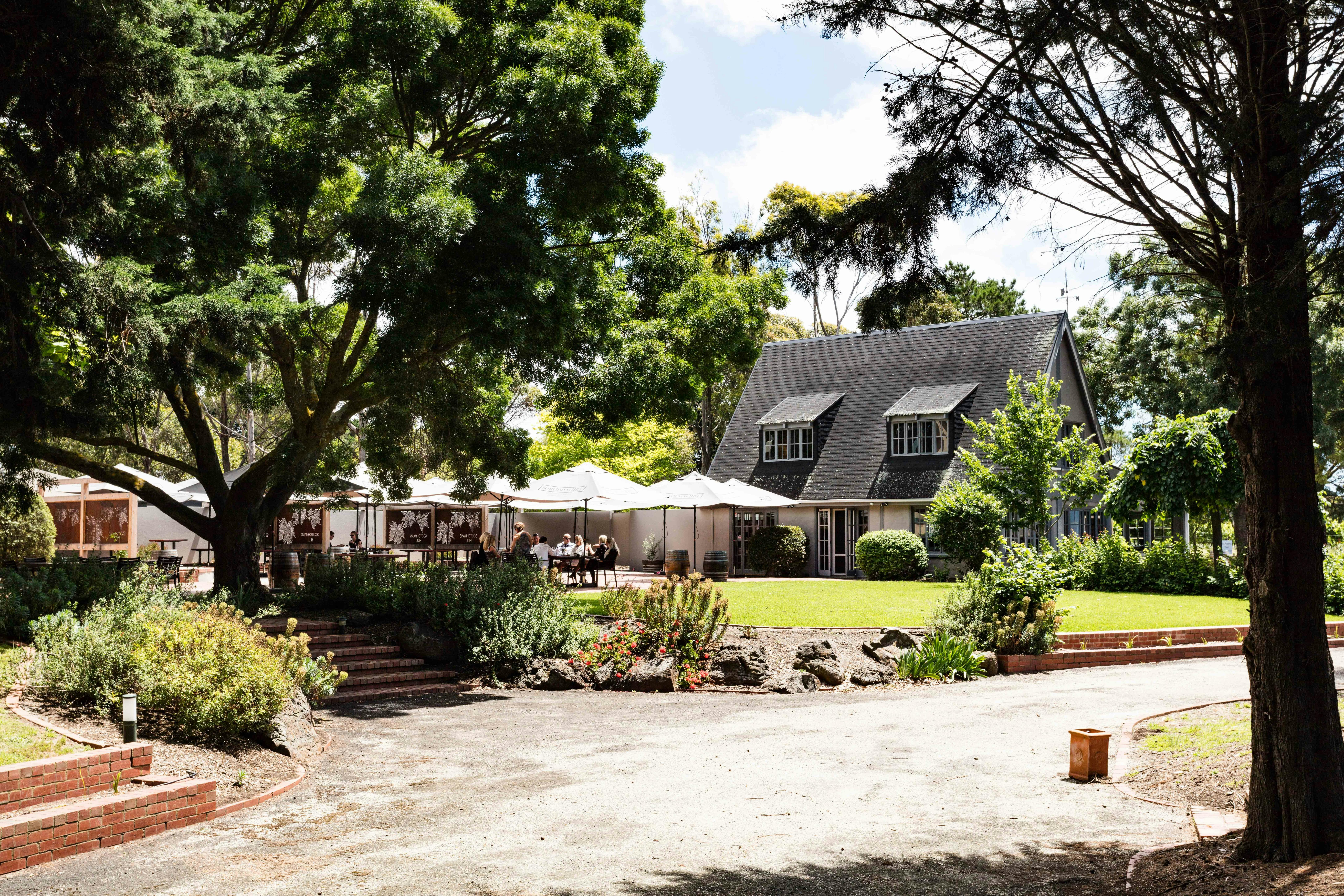 Bellarine wine tour