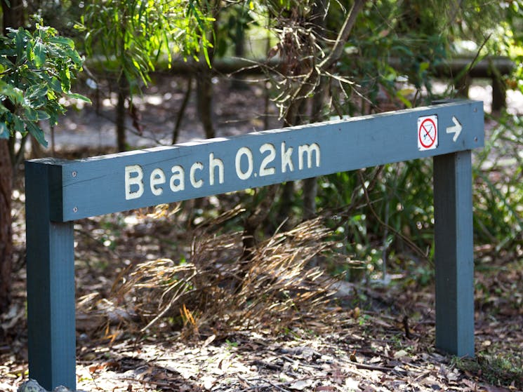 Green Patch campground, Booderee National Park