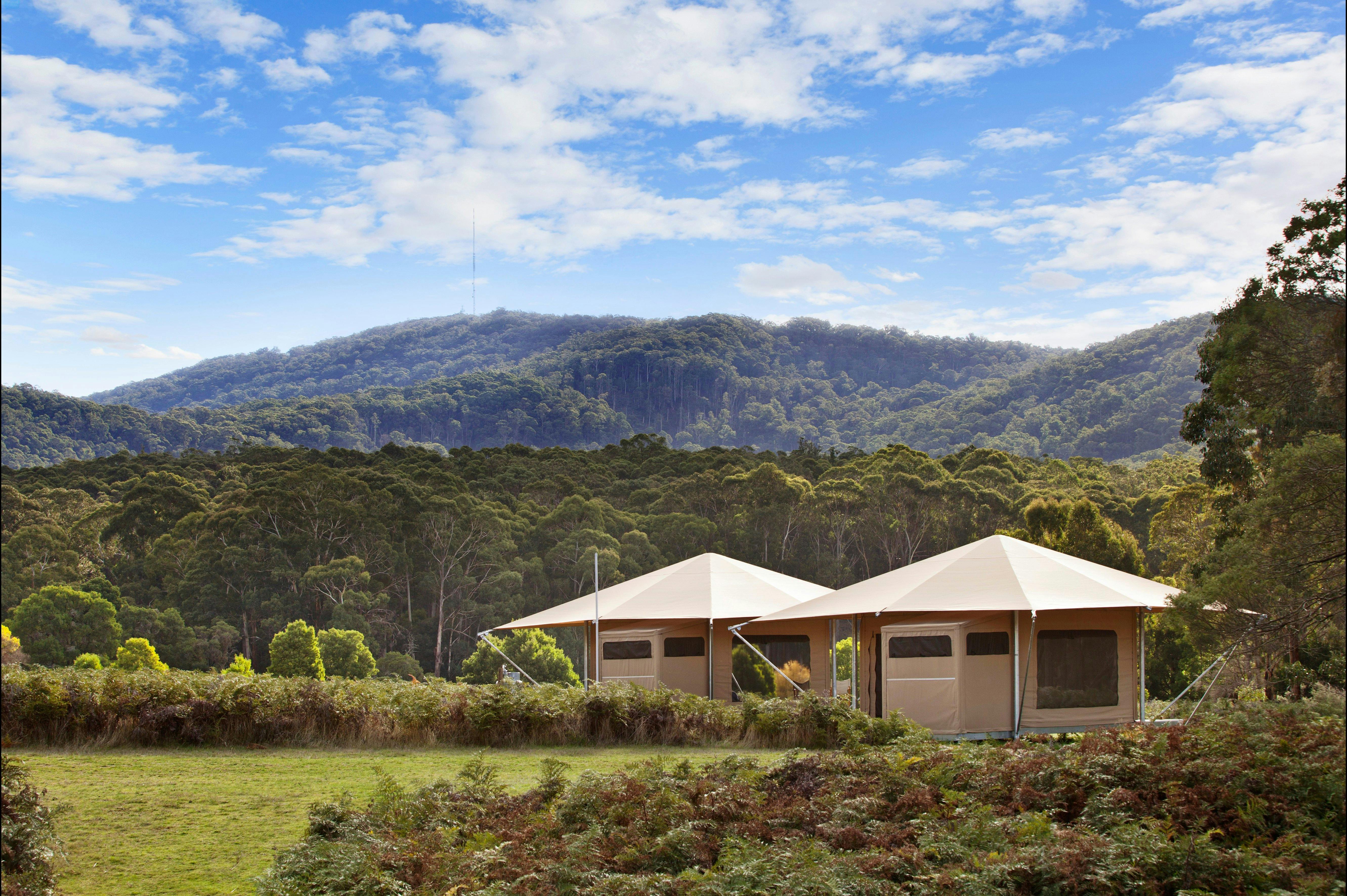 Deluxe Glamping
