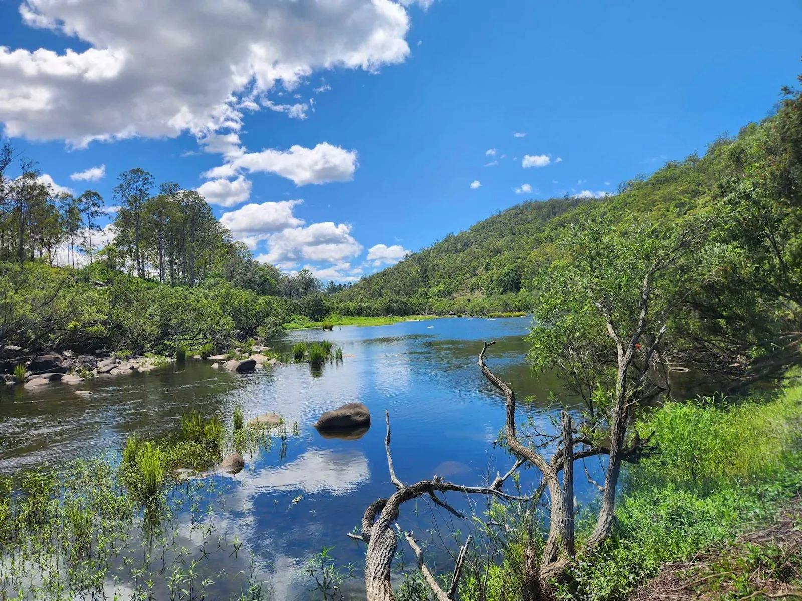 클라렌스 캠핑장에서