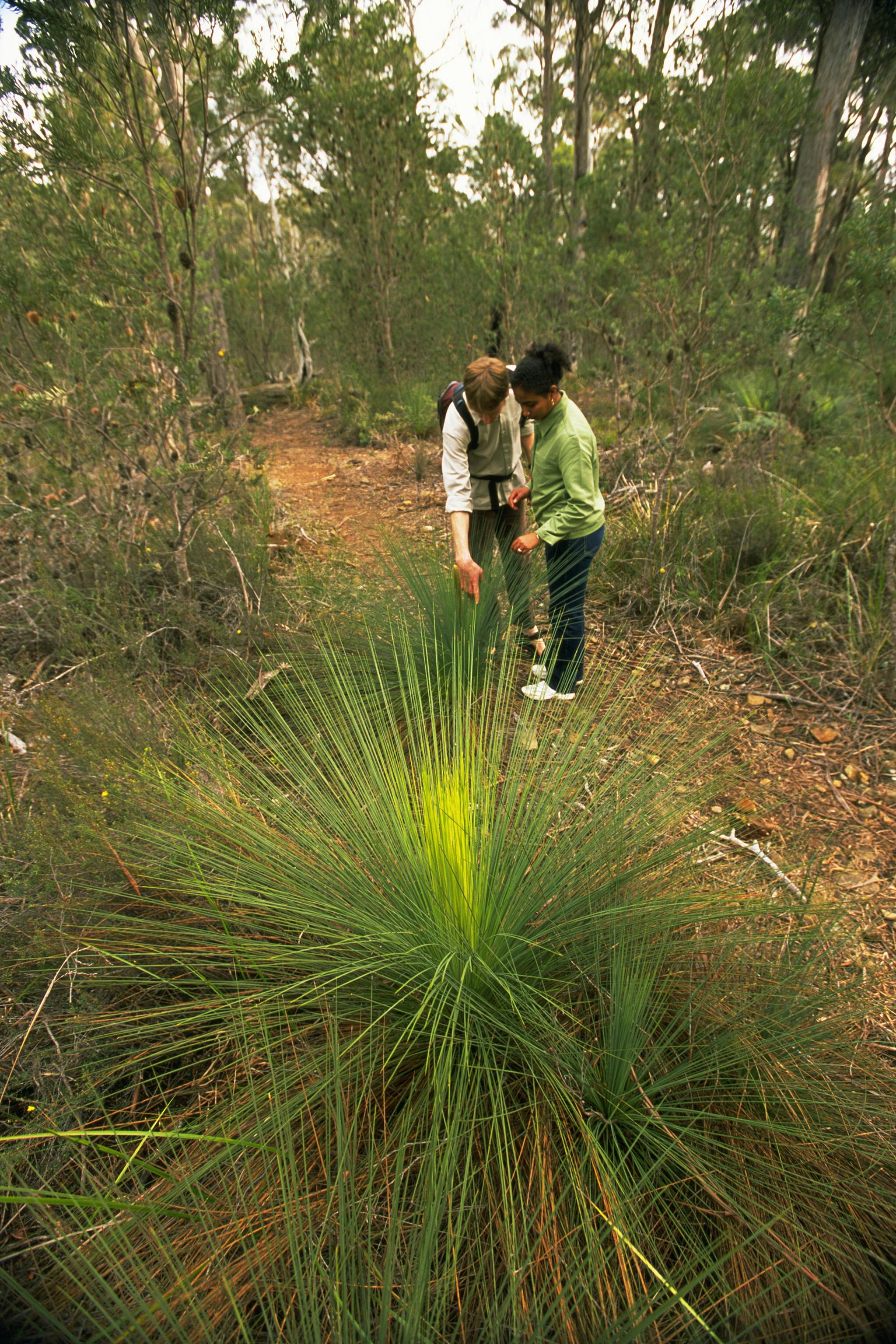 Douglas-Apsley Loop Track