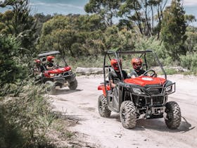 ALL4 / ALL Terrain Tours