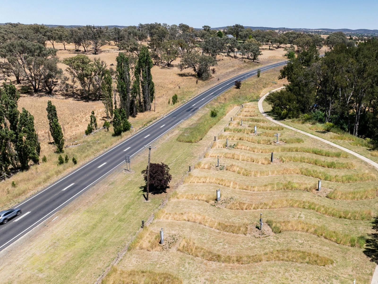 Aerial image of park
