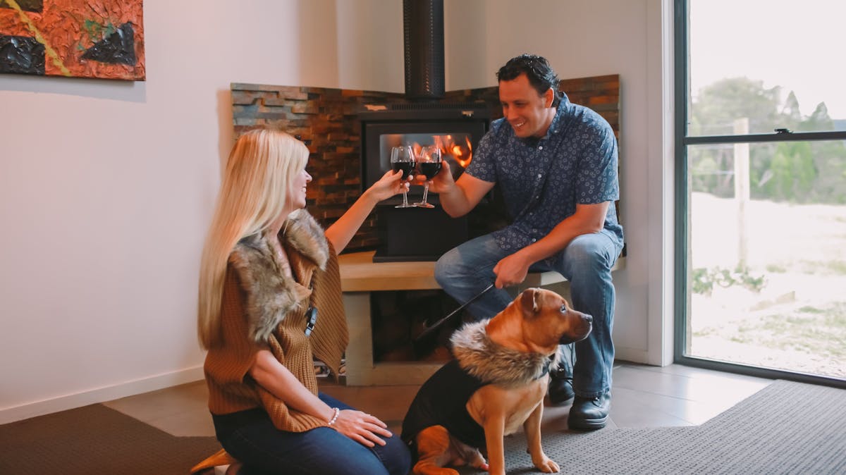 Holiday with your pet