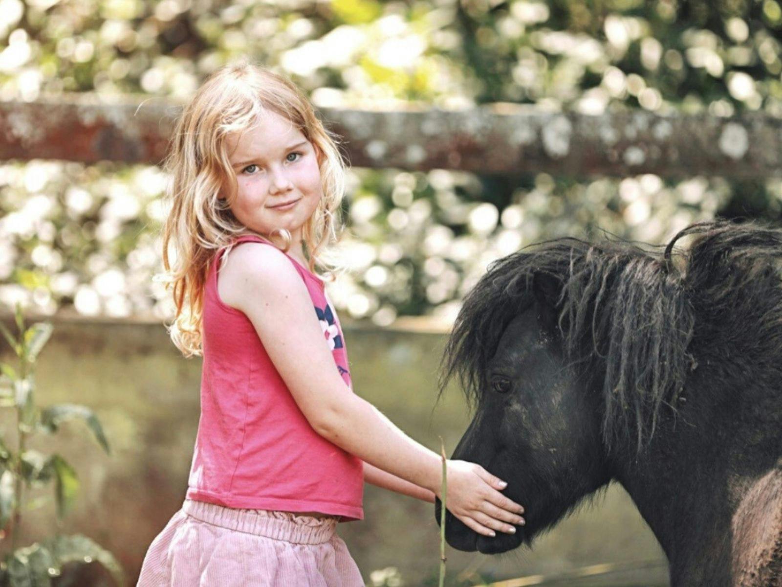 Young girl in a pink shirt and skirt, bonding with a gentle miniature horse