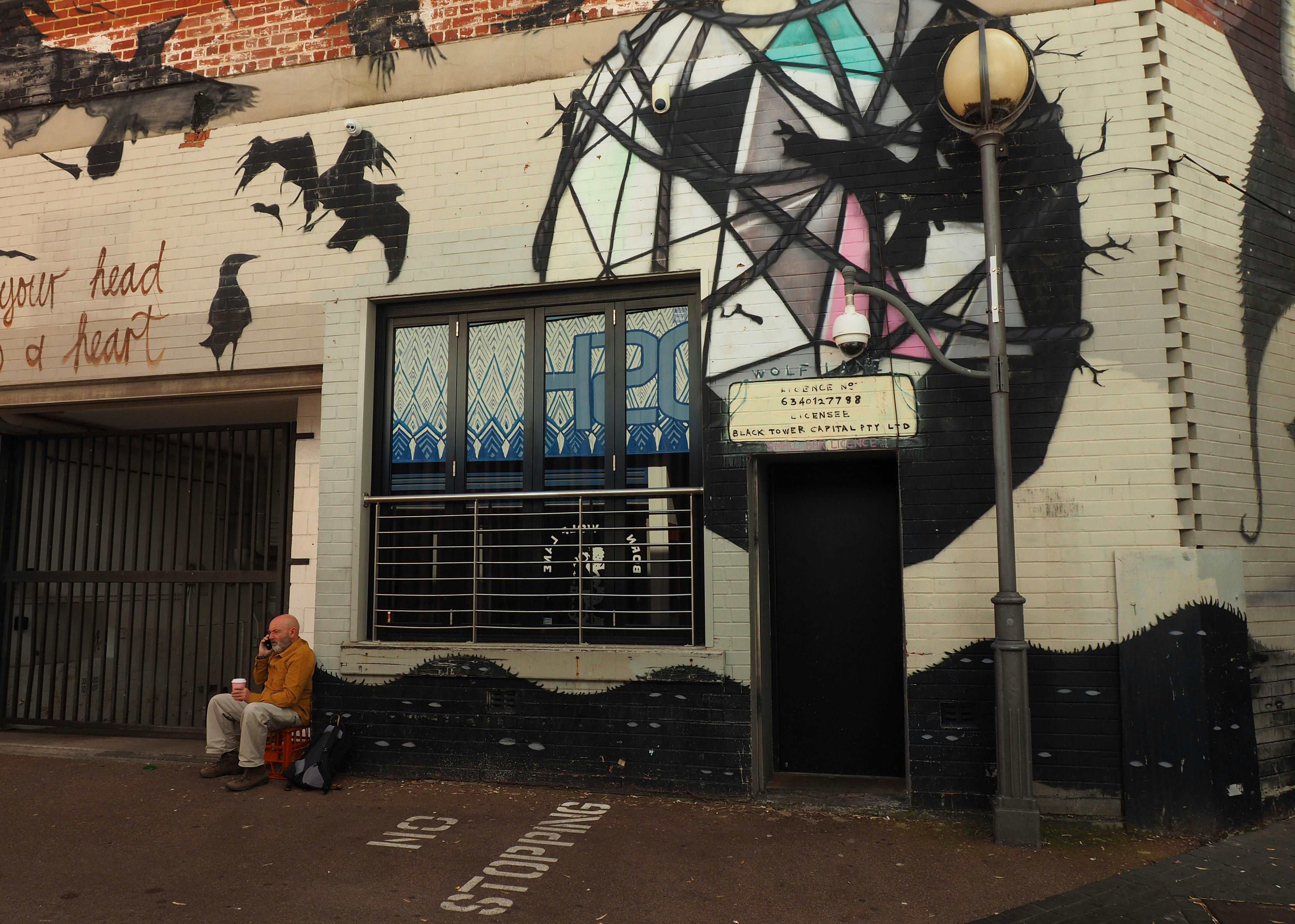 street art- Wolf Lane