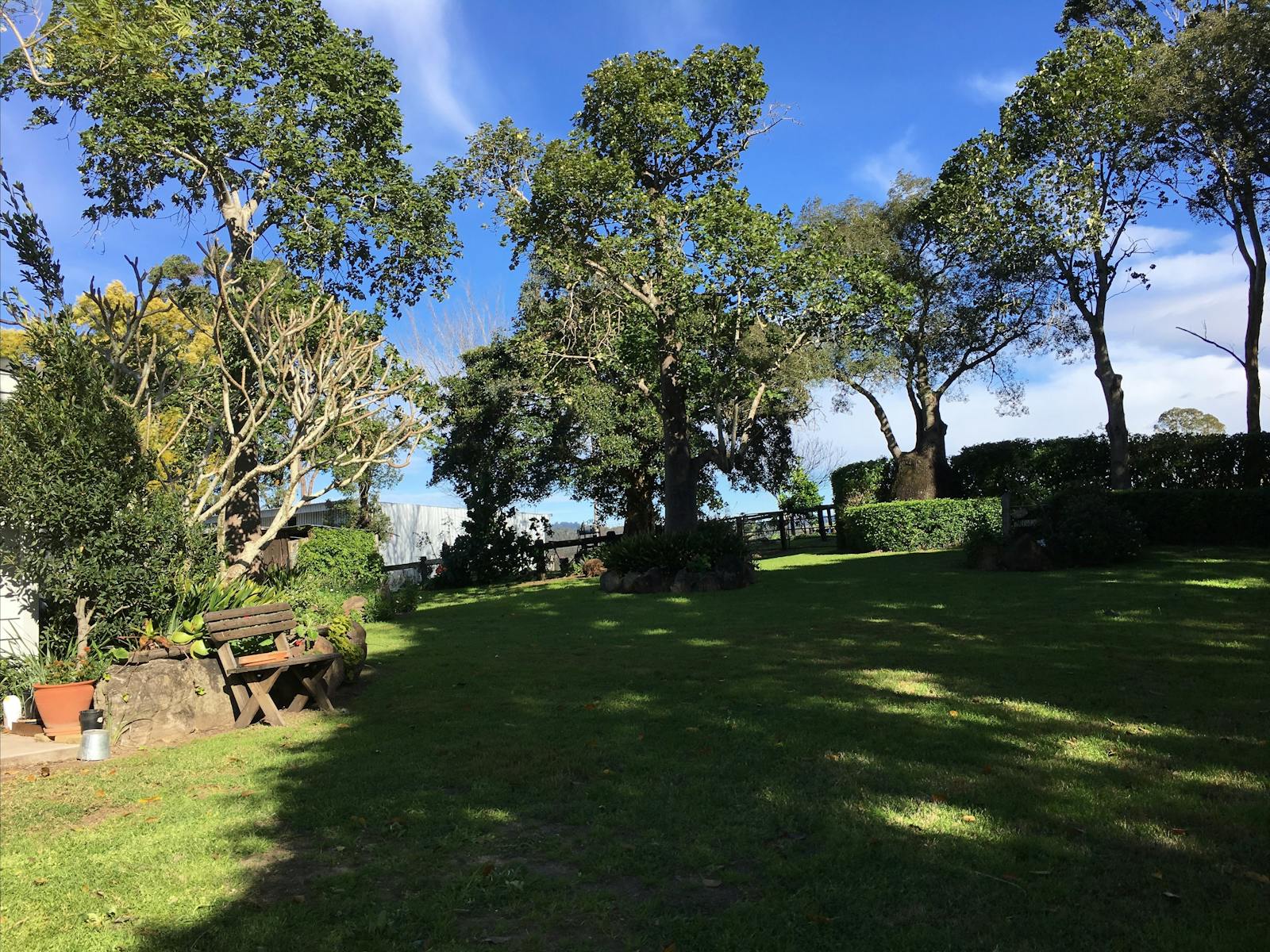 Image for Dungog Garden Ramble