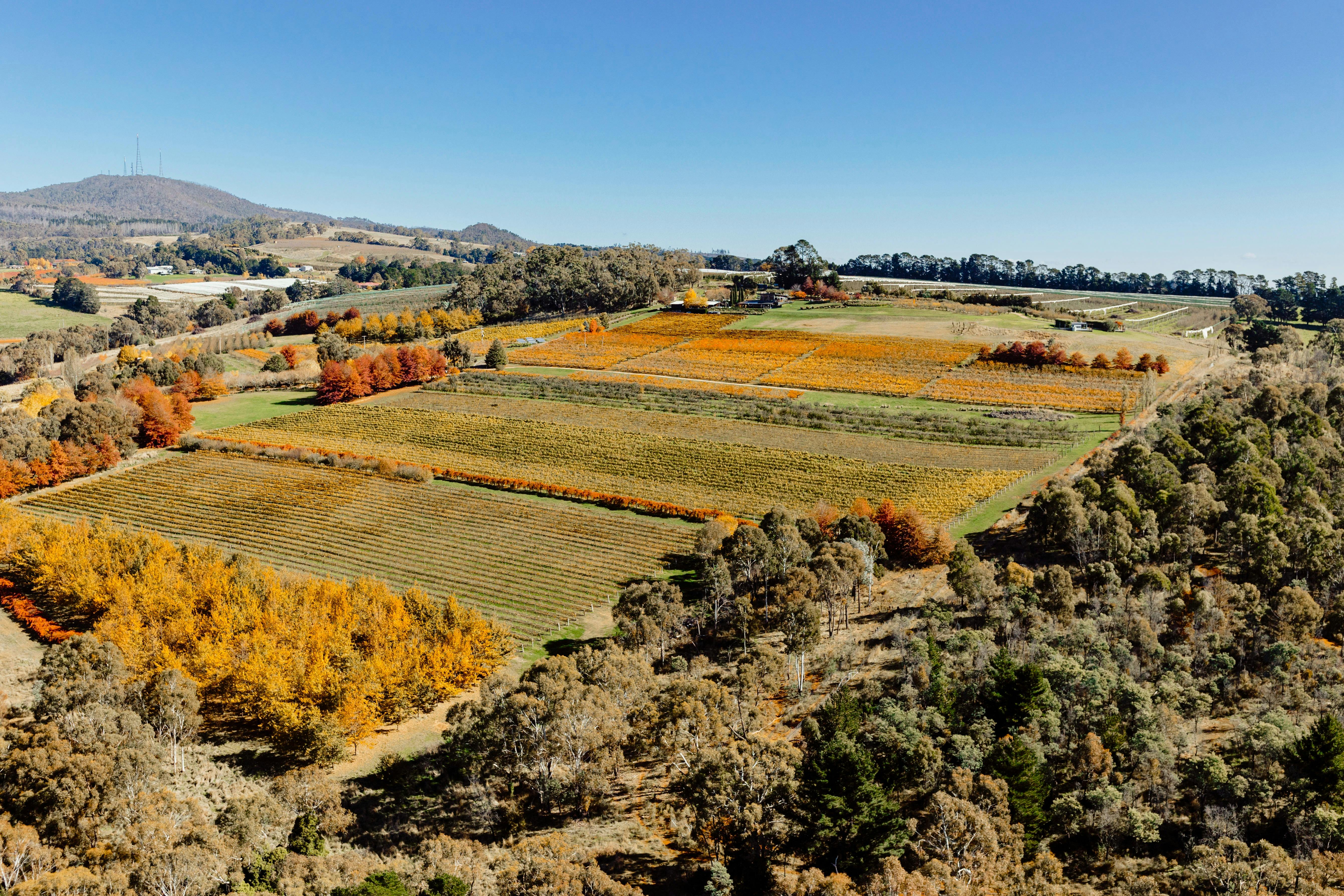 Aeral view of Borrodell during Autumn